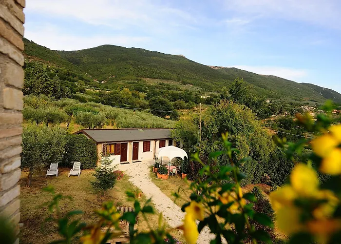 Affittacamere Colle Degli Olivi Snc Assisi